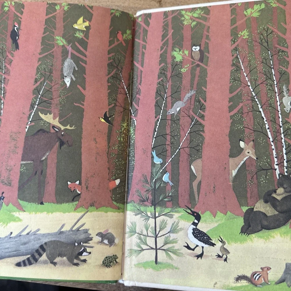 Bambi Gets Lost (1972 ) Hardcover Book - Disney's Wonderful‎ World of Reading